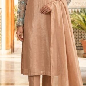 Light Orange Organza Suit