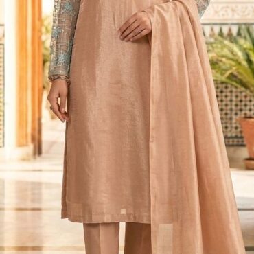 Light Orange Organza Suit